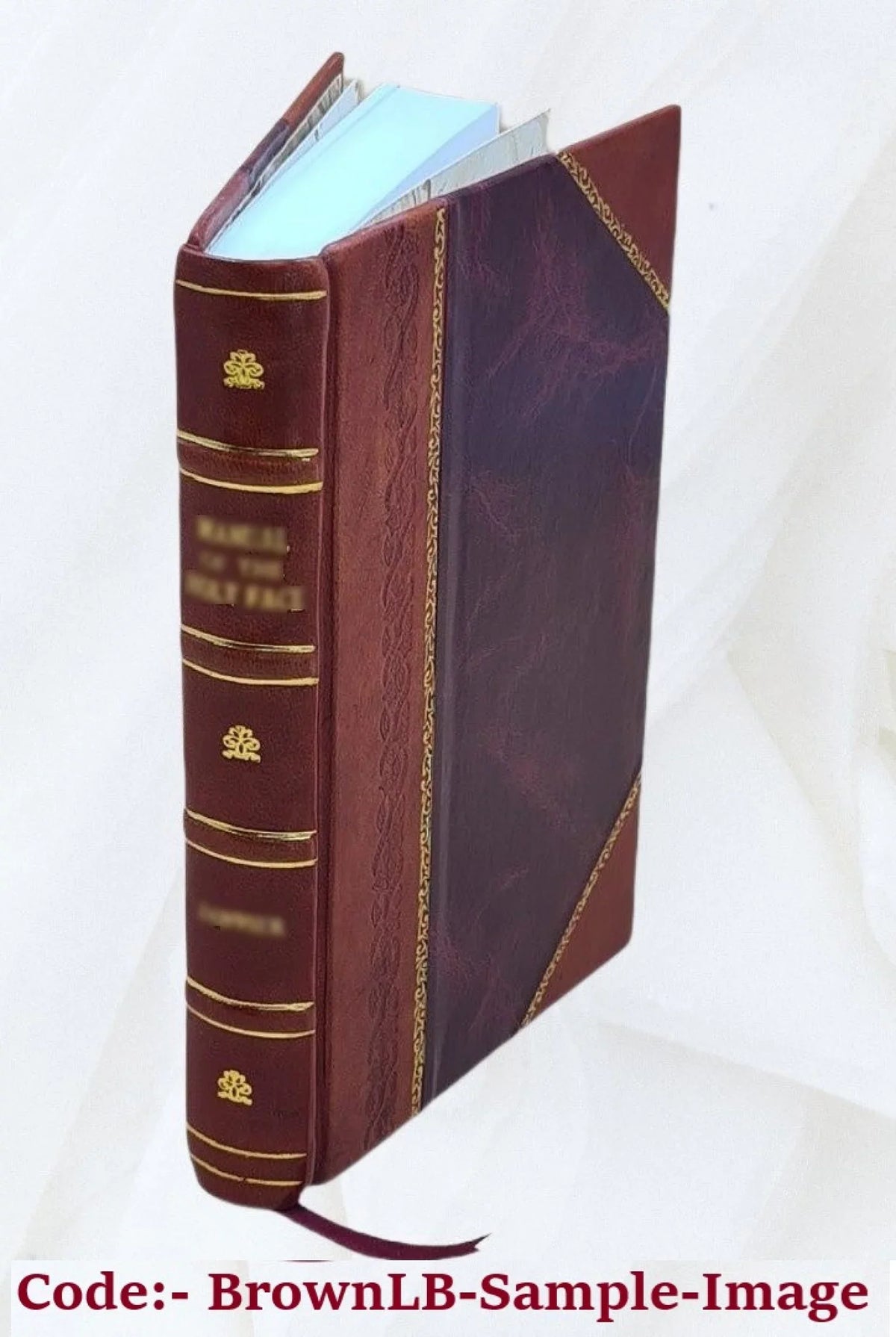 London, Or Interesting Memorials of Its Rise, Progress & Present State Volume 2 1824 [Leather Bound]