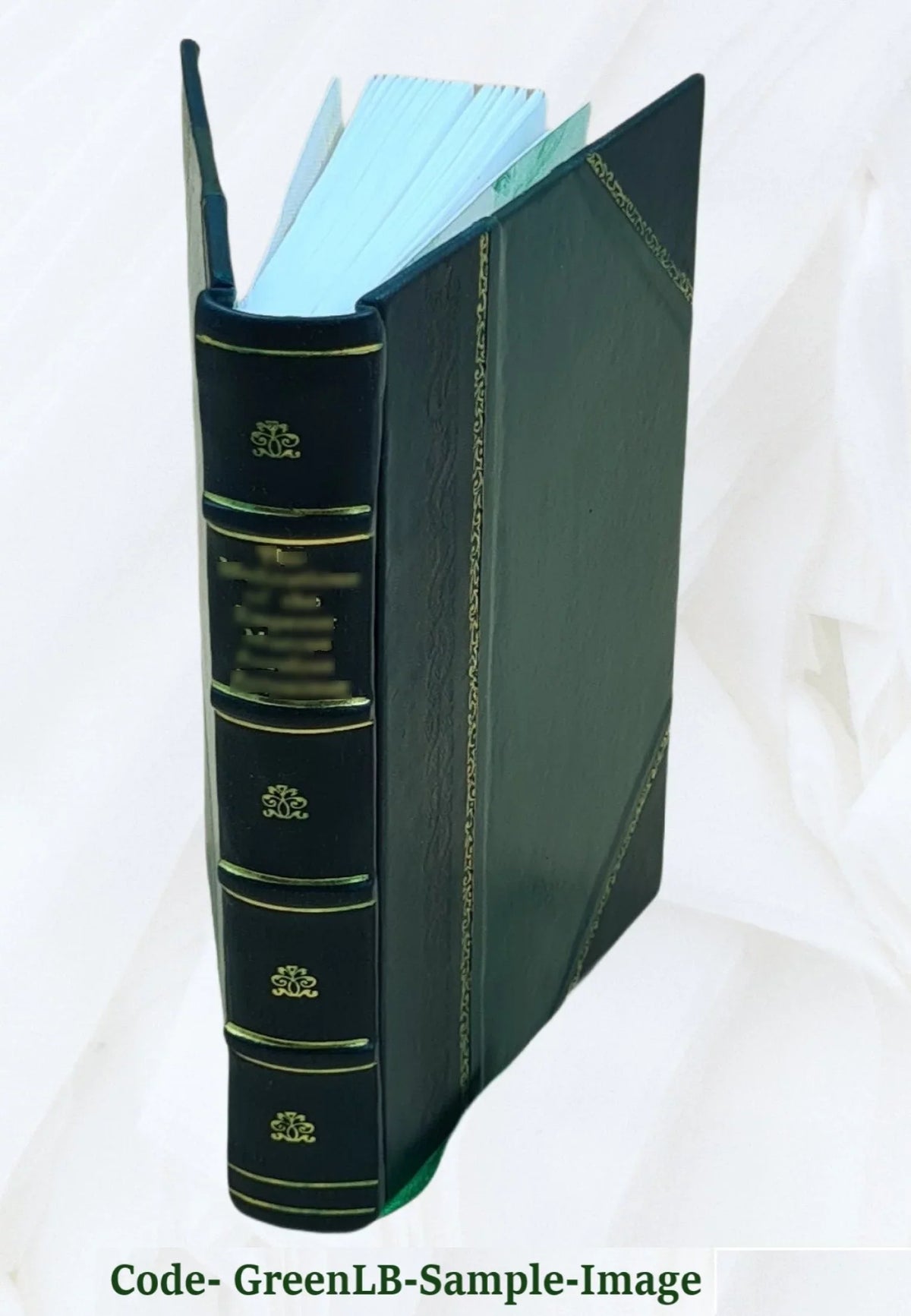 The bear-hunters of the Rocky Mountains 1875 [Leather Bound]