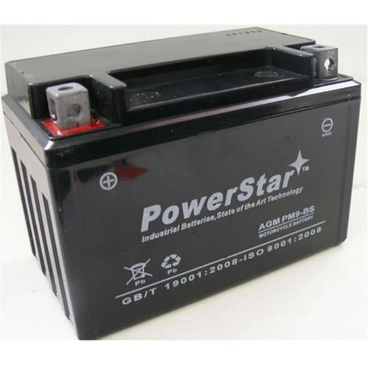 PowerStar pm9-bs-126 Battery Fits Or Replaces Champion 9-Bs