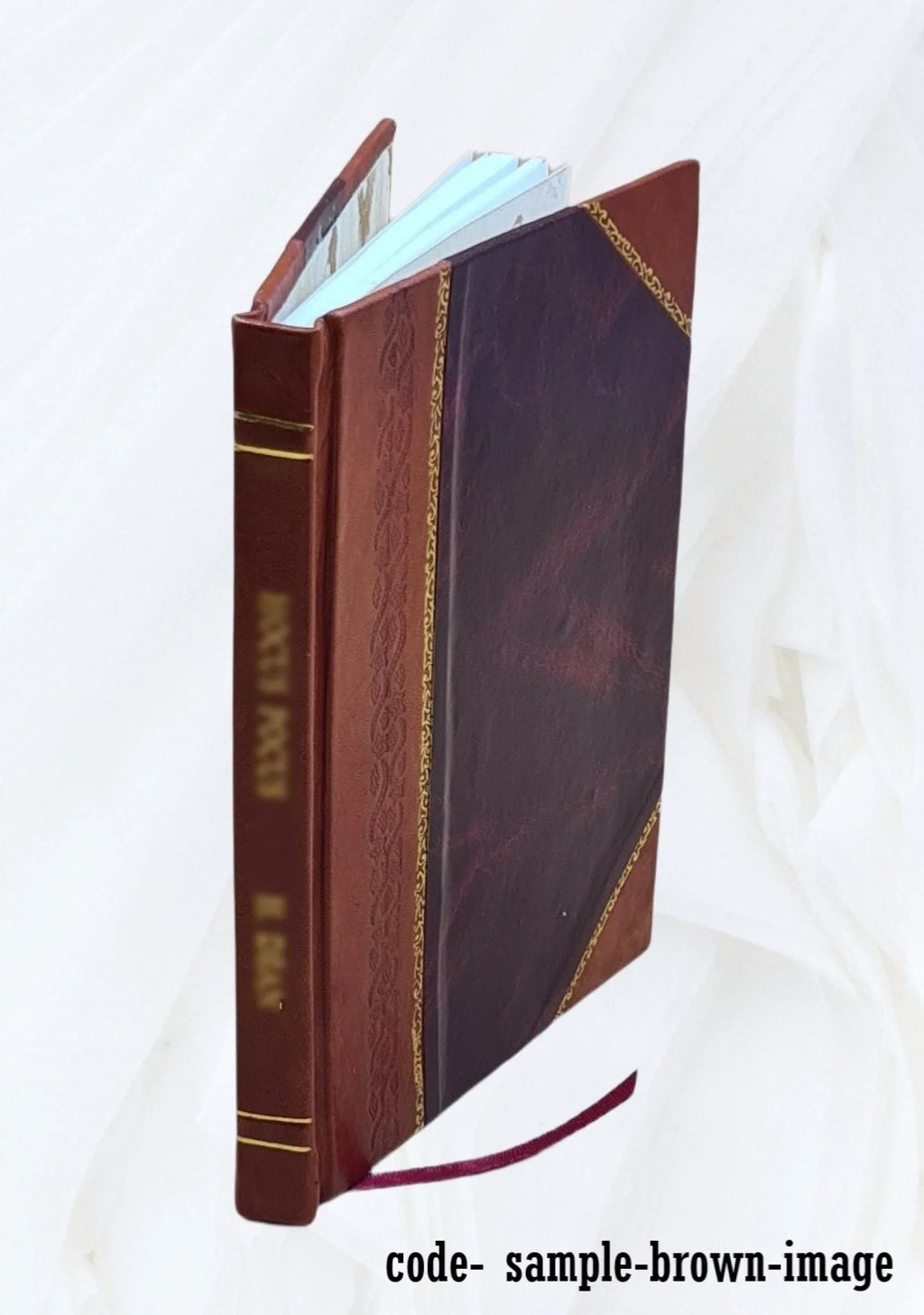 Evolotion And Creation 1926 [Leather Bound]
