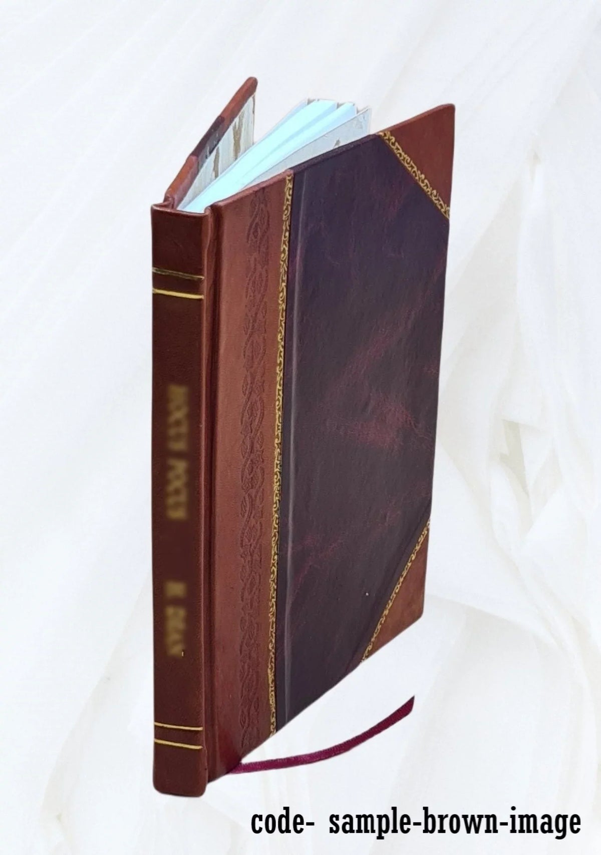 Evolotion And Creation 1926 [Leather Bound]