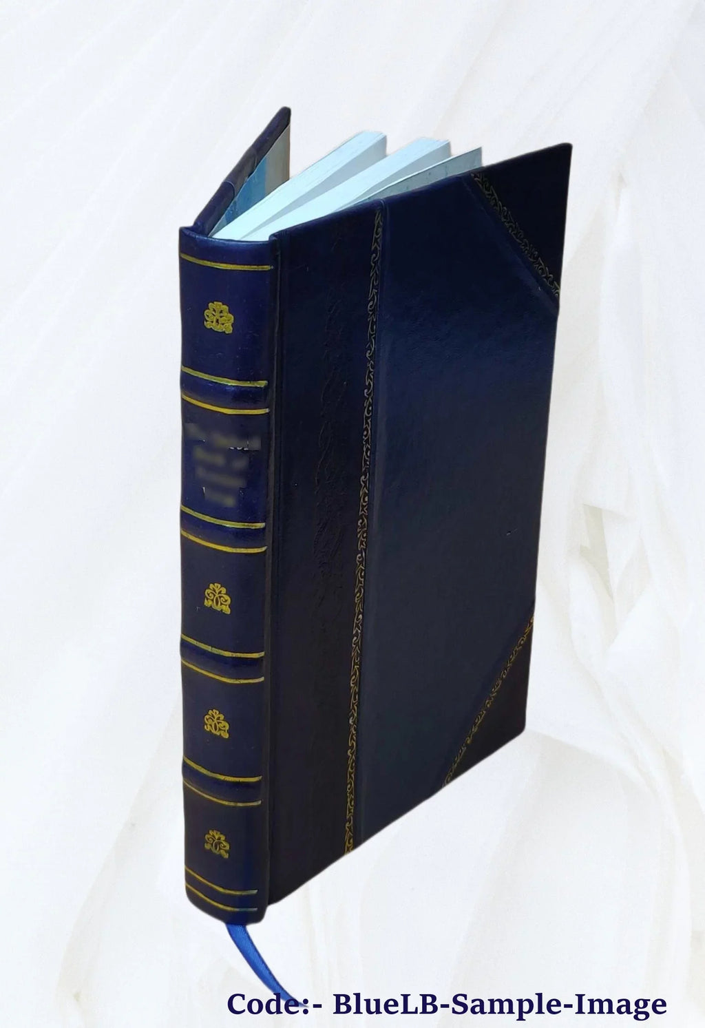 The bear-hunters of the Rocky Mountains 1875 [Leather Bound]