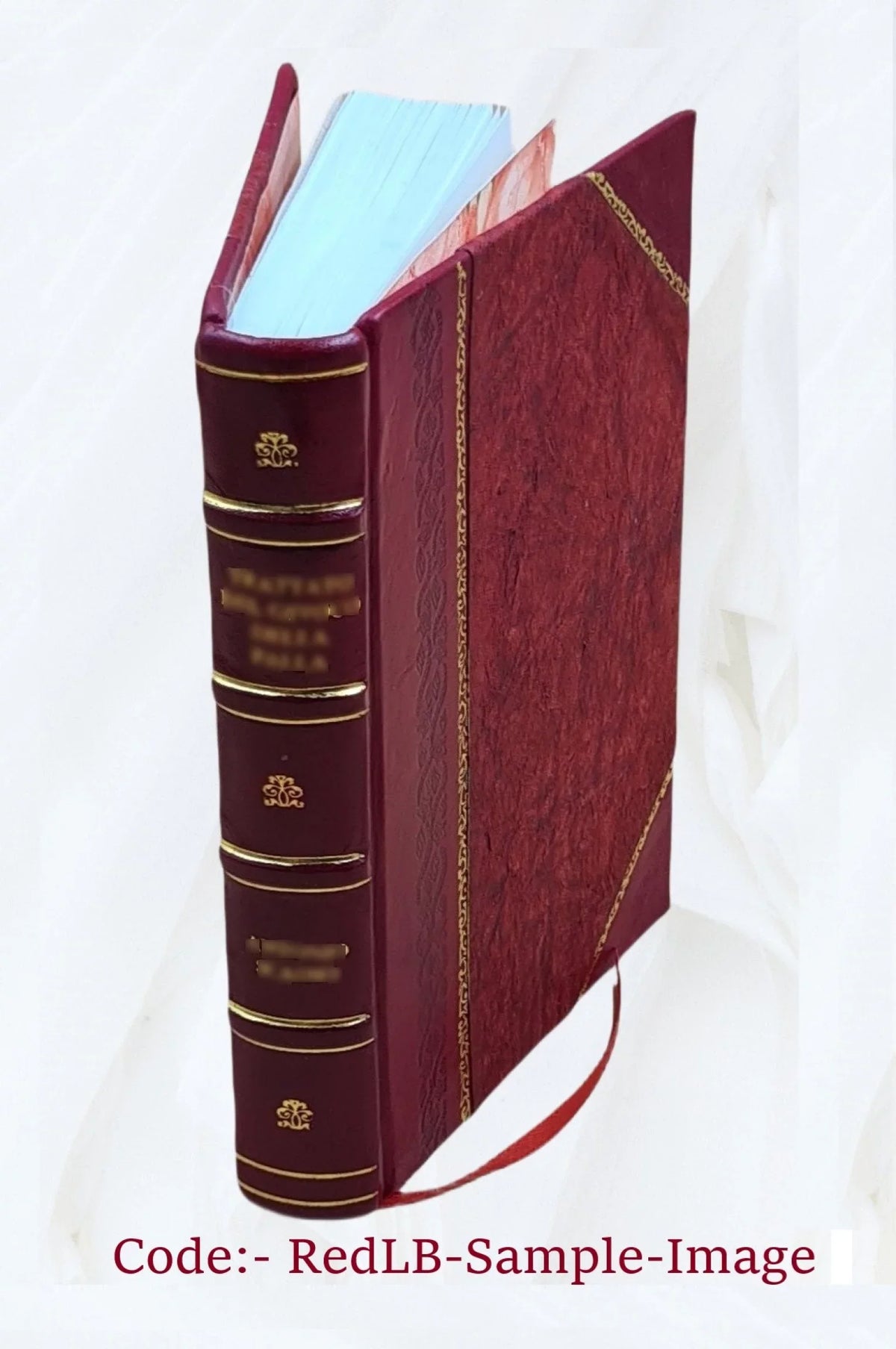 The bear-hunters of the Rocky Mountains 1875 [Leather Bound]