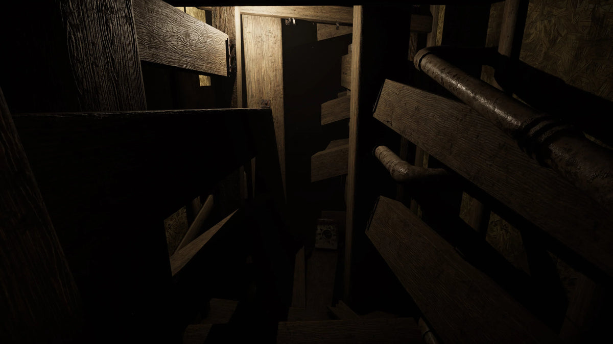 MADiSON VR - Cursed Edition, Playstation 5